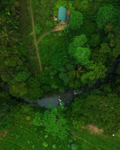 Rainforest Tea Garden Cabin-River View