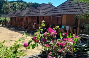 Surfers paradise cottages