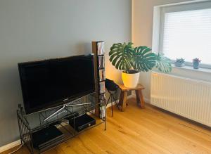 Mint & Meadow - modernes Landappartement