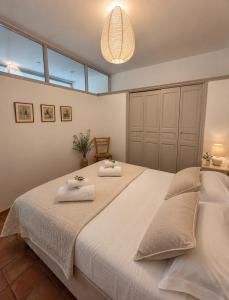 Villa Truchet 9 rue Truchet 13200 Arles