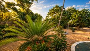 Notti MARE Kite Beach Resort & Restaurent