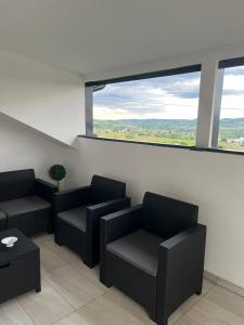 Janez house