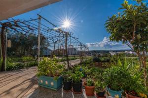 Apartman Mary
