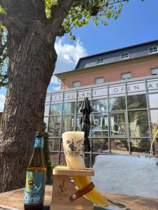 Trail-Inn Natur & Sporthotel