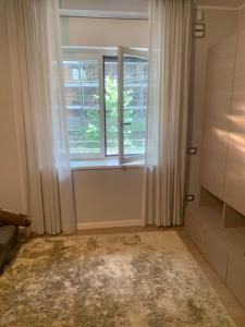 Sandri suite
