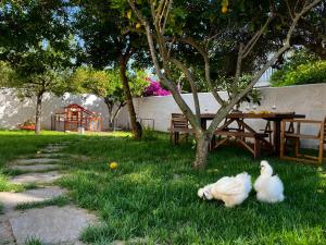 Sardinian House with spacious Garden and Veranda