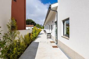Oliveira do Douro Studio