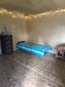 Lemon Tree Camp