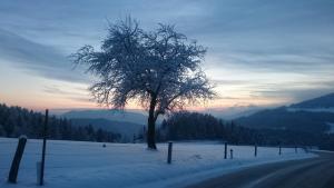 Turistična kmetija Ramšak 