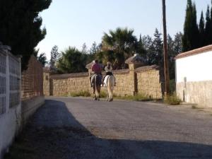 Villa Los Arcos Malaga