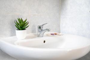 Loft Riva Blu