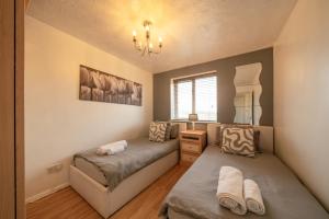 Modern 2 Bedroom Apartment