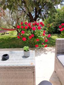 Savvinio Country Apartment