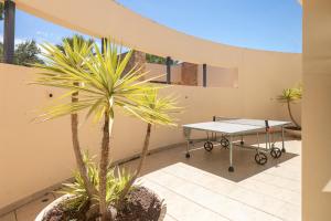 New! Villa Palau