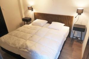 Spacious Apartment with Sauna & Roof Terrace in Domburg - Ooststraat 3