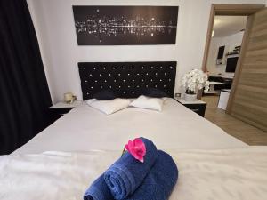 Holiday 1BR Apartment - Resort cu Piscina & Centru Spa langa plaja