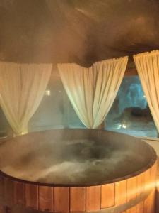 ECO Willa Karpatia Ski&Wellness