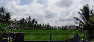 BE Four Ubud