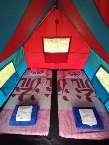 ECOXPLORA-Zona de camping