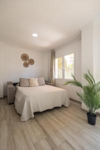 La placita de Jávea by Concept Flats