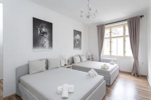 Heart of Old Town Charles Bridge Wenceslas Square Spacious 3-Bedroom Apartment