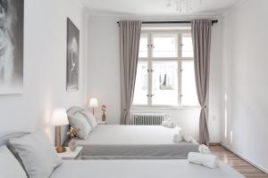 Heart of Old Town Charles Bridge Wenceslas Square Spacious 3-Bedroom Apartment