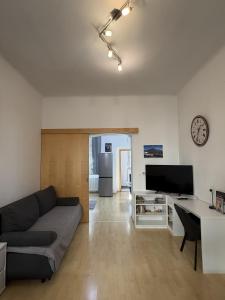 Viktorija City Center Apartment