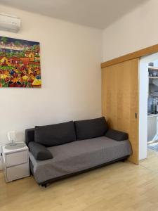 Viktorija City Center Apartment