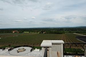 Djordjevic Estate Winery