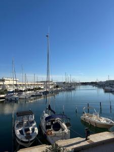 Charmante Marina T3 traversant vue mer et port