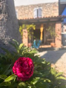 Casa romana