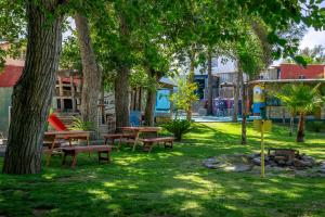 Hostel Lemon Tree