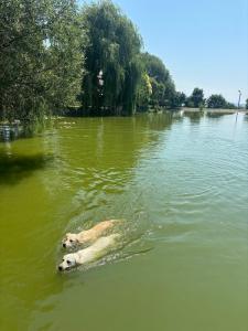 Ranchoto Guest House Cozy Lake and Nature Escape