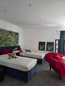 Apartament pod Papugami