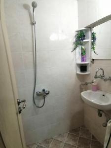 Central Apartment In The Heart Of Sofia