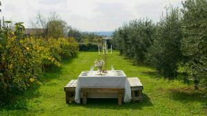 Renovated Barn Among Vineyards Near Arezzo