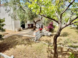Casa Bouganville Mattinatella