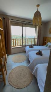 Manapany Surf Camp