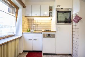 Apartments Smidl