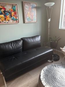 Spacious 4BR Family Home with Hot Tub Near Reykjavík