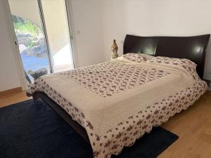 Appartement T2 dans magnifique villa st raphael