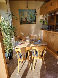 Hotel Seerose Garni