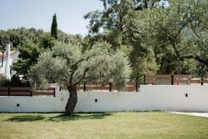 Meraki luxury bungalows