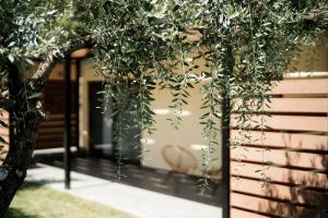 Meraki luxury bungalows