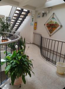 Hotel Surandino Fátima