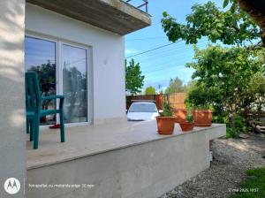 Casa Albinelor - Apartament 2-6 persoane