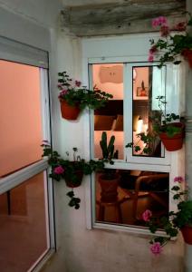 Casa Santa Cruz