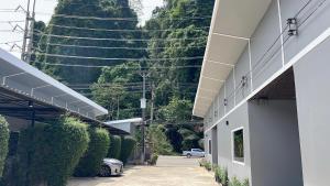 Pine Home
