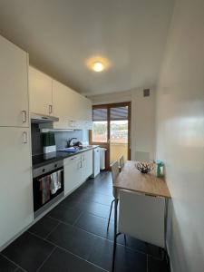 Beautiful 2 bedrooms Apartment in Geneva - Arenieres