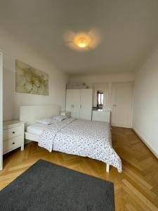 Beautiful 2 bedrooms Apartment in Geneva - Arenieres